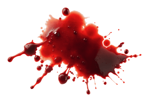 Police Investigate Double Murder in Gulu City Following Late-Night Political Clash